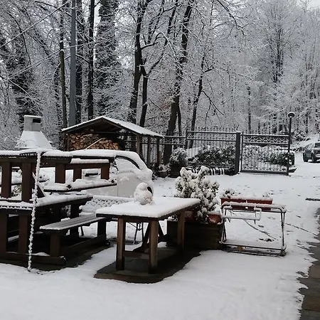 Bed & Breakfast Alpina