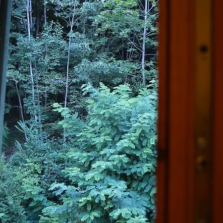 Bed & Breakfast Alpina 3*